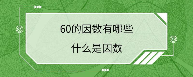 60的因数有哪些 什么是因数