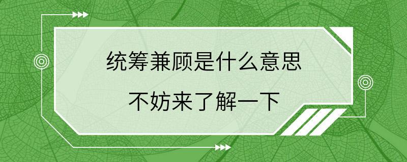 统筹兼顾是什么意思 不妨来了解一下