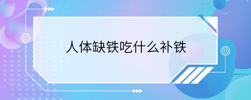 人体缺铁吃什么补铁