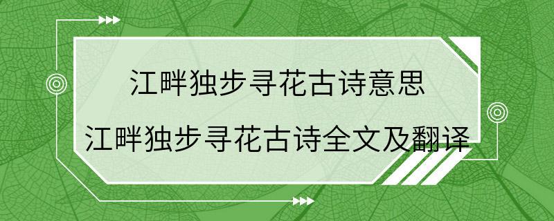 江畔独步寻花古诗意思 江畔独步寻花古诗全文及翻译