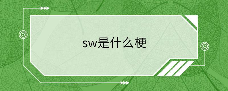 sw是什么梗