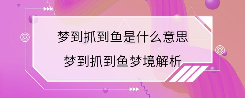 梦到抓到鱼是什么意思 梦到抓到鱼梦境解析