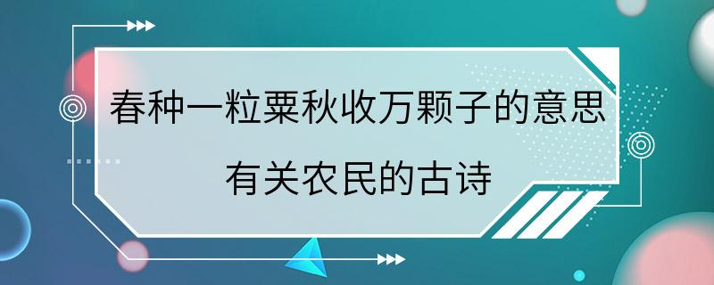 春种一粒粟秋收万颗子的意思 有关农民的古诗