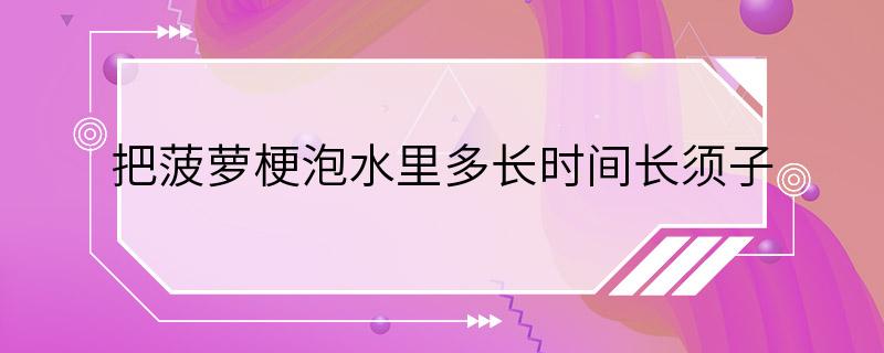 把菠萝梗泡水里多长时间长须子