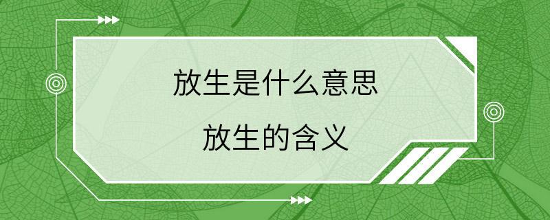 放生是什么意思 放生的含义