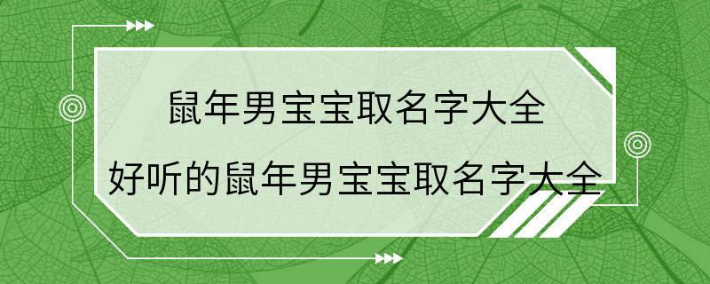 鼠年男宝宝取名字大全 好听的鼠年男宝宝取名字大全