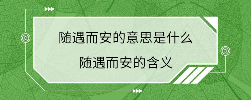 随遇而安的意思是什么 随遇而安的含义