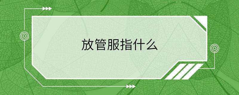 放管服指什么