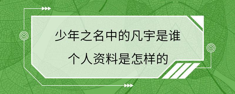 少年之名中的凡宇是谁 个人资料是怎样的