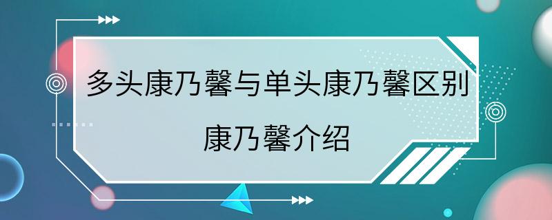 多头康乃馨与单头康乃馨区别 康乃馨介绍