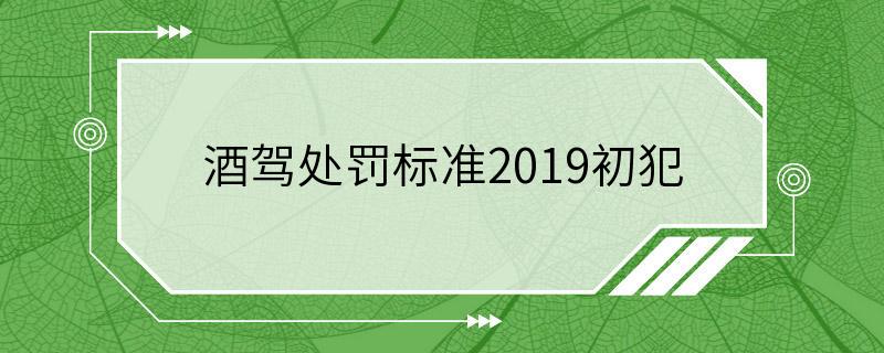 酒驾处罚标准2019初犯