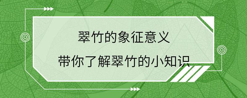 翠竹的象征意义 带你了解翠竹的小知识