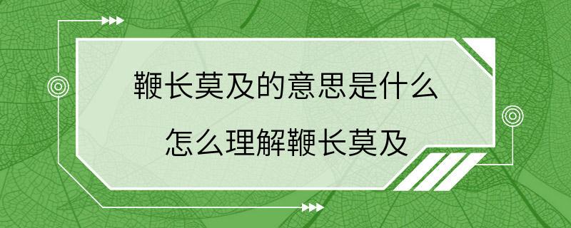 鞭长莫及的意思是什么 怎么理解鞭长莫及