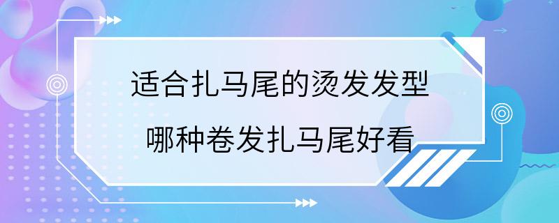 适合扎马尾的烫发发型 哪种卷发扎马尾好看