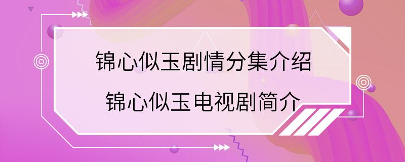 锦心似玉剧情分集介绍 锦心似玉电视剧简介