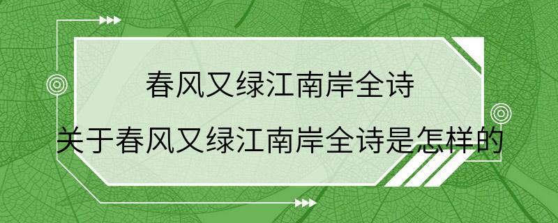 春风又绿江南岸全诗 关于春风又绿江南岸全诗是怎样的