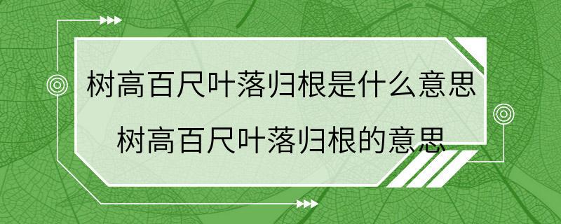 树高百尺叶落归根是什么意思 树高百尺叶落归根的意思