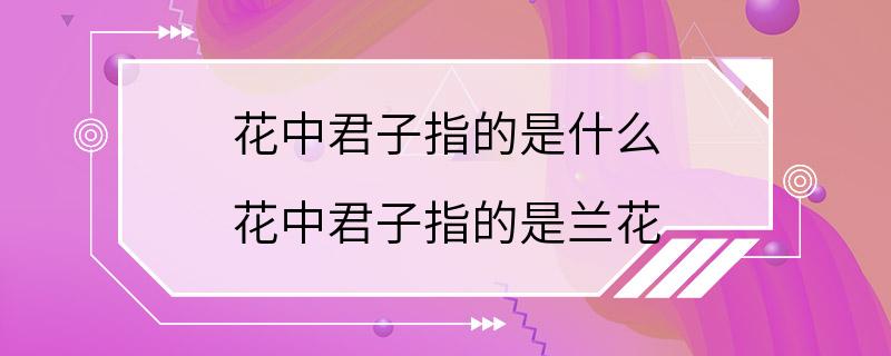 花中君子指的是什么 花中君子指的是兰花