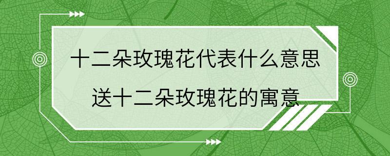 十二朵玫瑰花代表什么意思 送十二朵玫瑰花的寓意