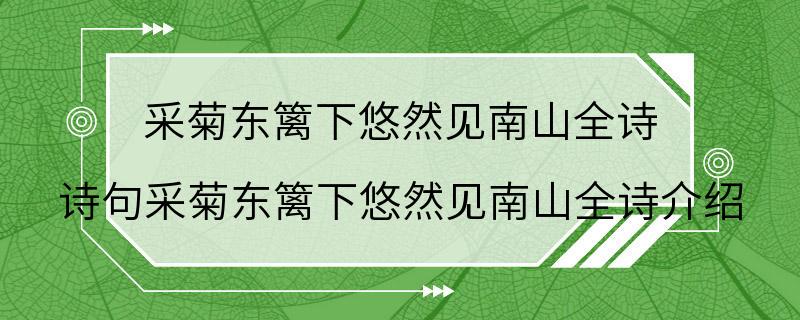 采菊东篱下悠然见南山全诗 诗句采菊东篱下悠然见南山全诗介绍