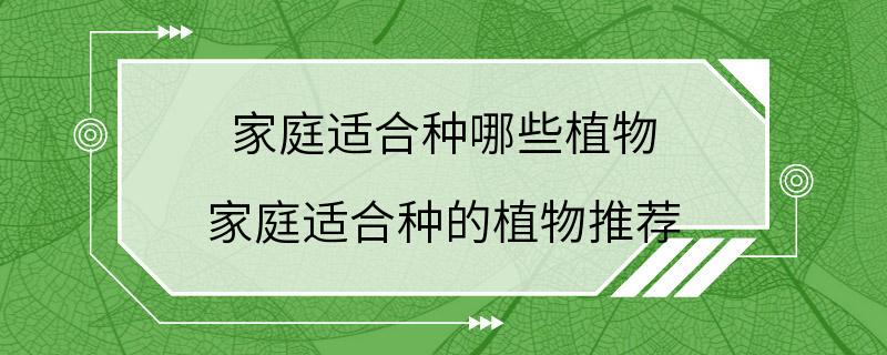 家庭适合种哪些植物 家庭适合种的植物推荐