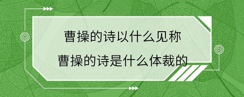 曹操的诗以什么见称 曹操的诗是什么体裁的