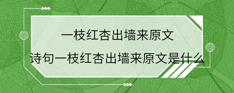 一枝红杏出墙来原文 诗句一枝红杏出墙来原文是什么