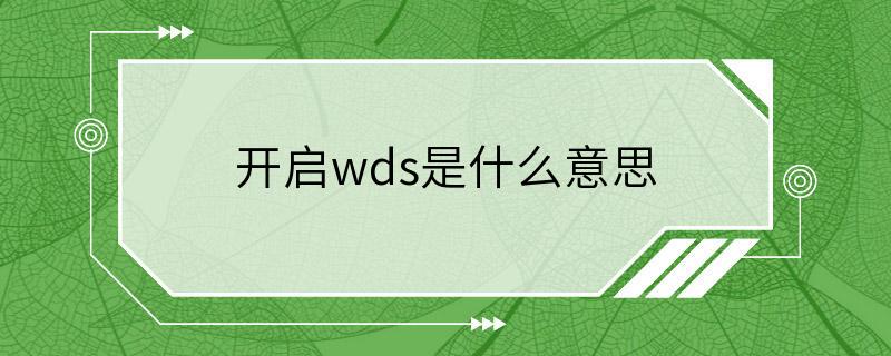 开启wds是什么意思