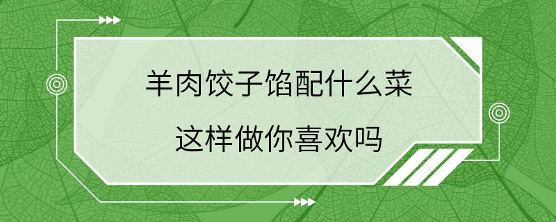 羊肉饺子馅配什么菜 这样做你喜欢吗