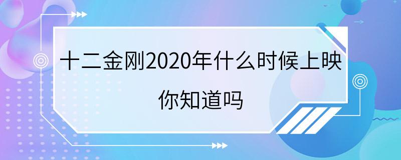 十二金刚2020年什么时候上映 你知道吗