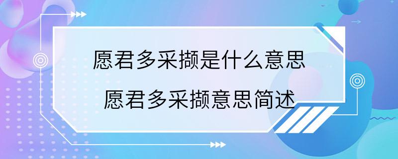 愿君多采撷是什么意思 愿君多采撷意思简述