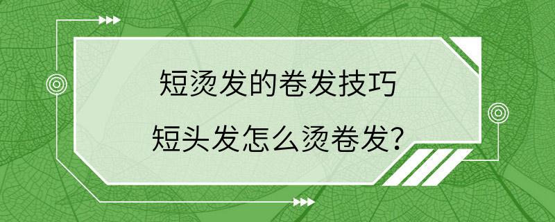 短烫发的卷发技巧 短头发怎么烫卷发？