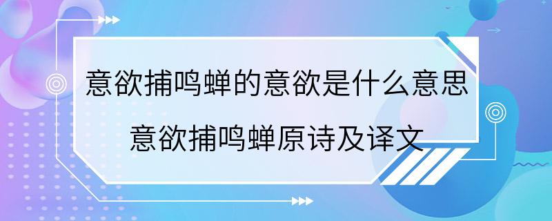 意欲捕鸣蝉的意欲是什么意思 意欲捕鸣蝉原诗及译文