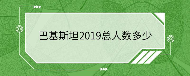 巴基斯坦2019总人数多少