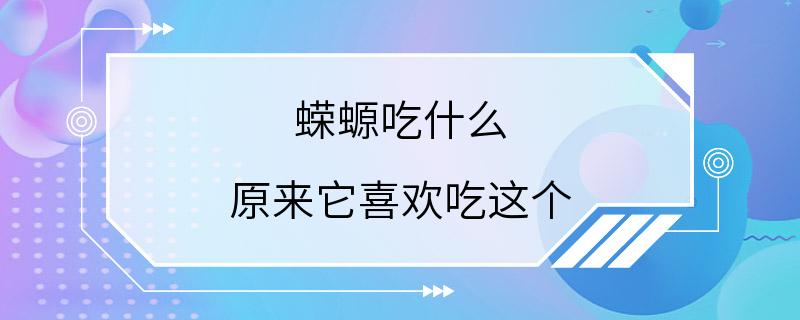 蝾螈吃什么 原来它喜欢吃这个