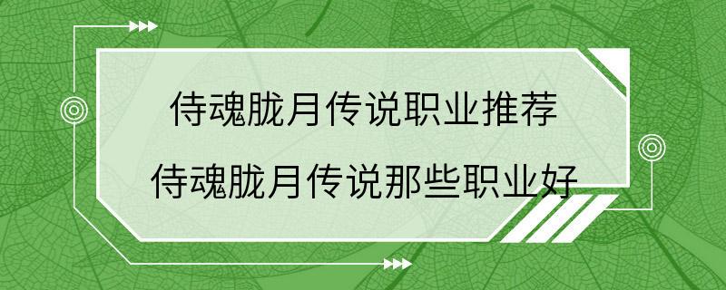 侍魂胧月传说职业推荐 侍魂胧月传说那些职业好