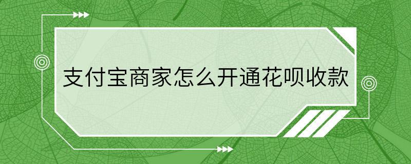 支付宝商家怎么开通花呗收款