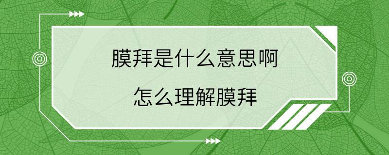 膜拜是什么意思啊 怎么理解膜拜