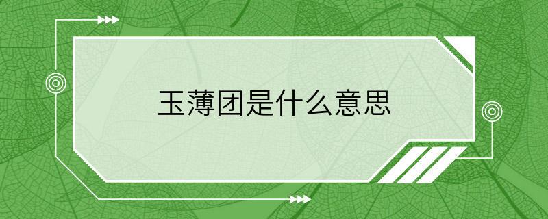 玉薄团是什么意思