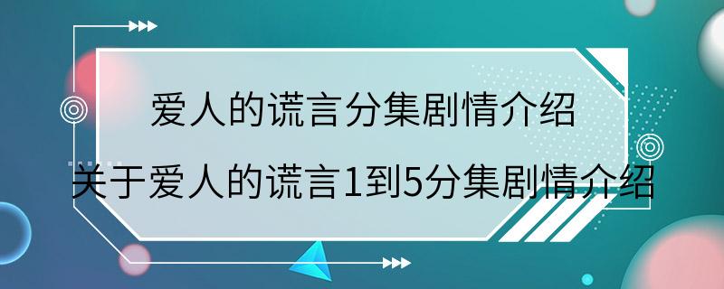 爱人的谎言分集剧情介绍 关于爱人的谎言1到5分集剧情介绍