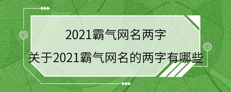 2021霸气网名两字 关于2021霸气网名的两字有哪些