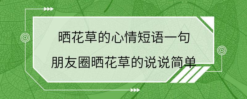 晒花草的心情短语一句 朋友圈晒花草的说说简单