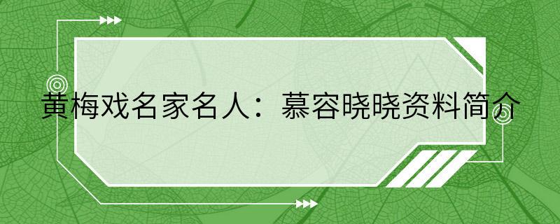 黄梅戏名家名人：慕容晓晓资料简介