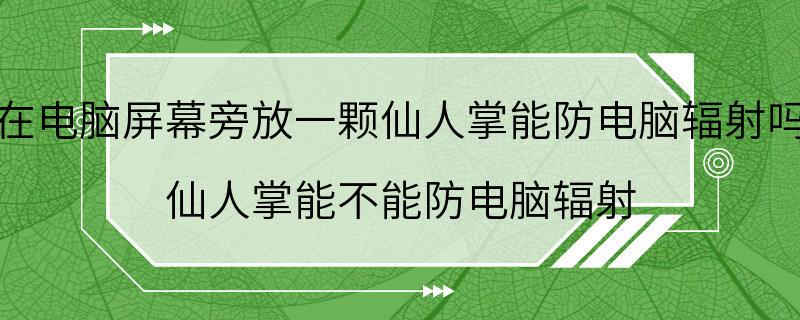 在电脑屏幕旁放一颗仙人掌能防电脑辐射吗 仙人掌能不能防电脑辐射