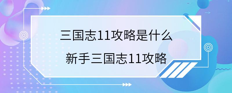 三国志11攻略是什么 新手三国志11攻略