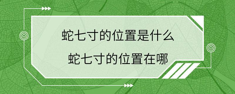 蛇七寸的位置是什么 蛇七寸的位置在哪