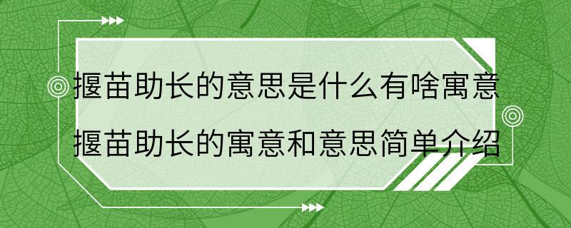 揠苗助长的意思是什么有啥寓意 揠苗助长的寓意和意思简单介绍