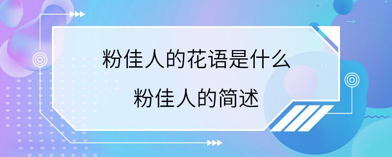 粉佳人的花语是什么 粉佳人的简述