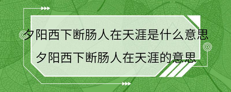 夕阳西下断肠人在天涯是什么意思 夕阳西下断肠人在天涯的意思