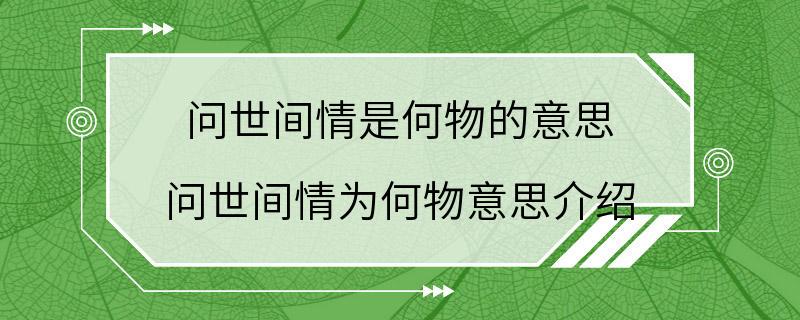 问世间情是何物的意思 问世间情为何物意思介绍